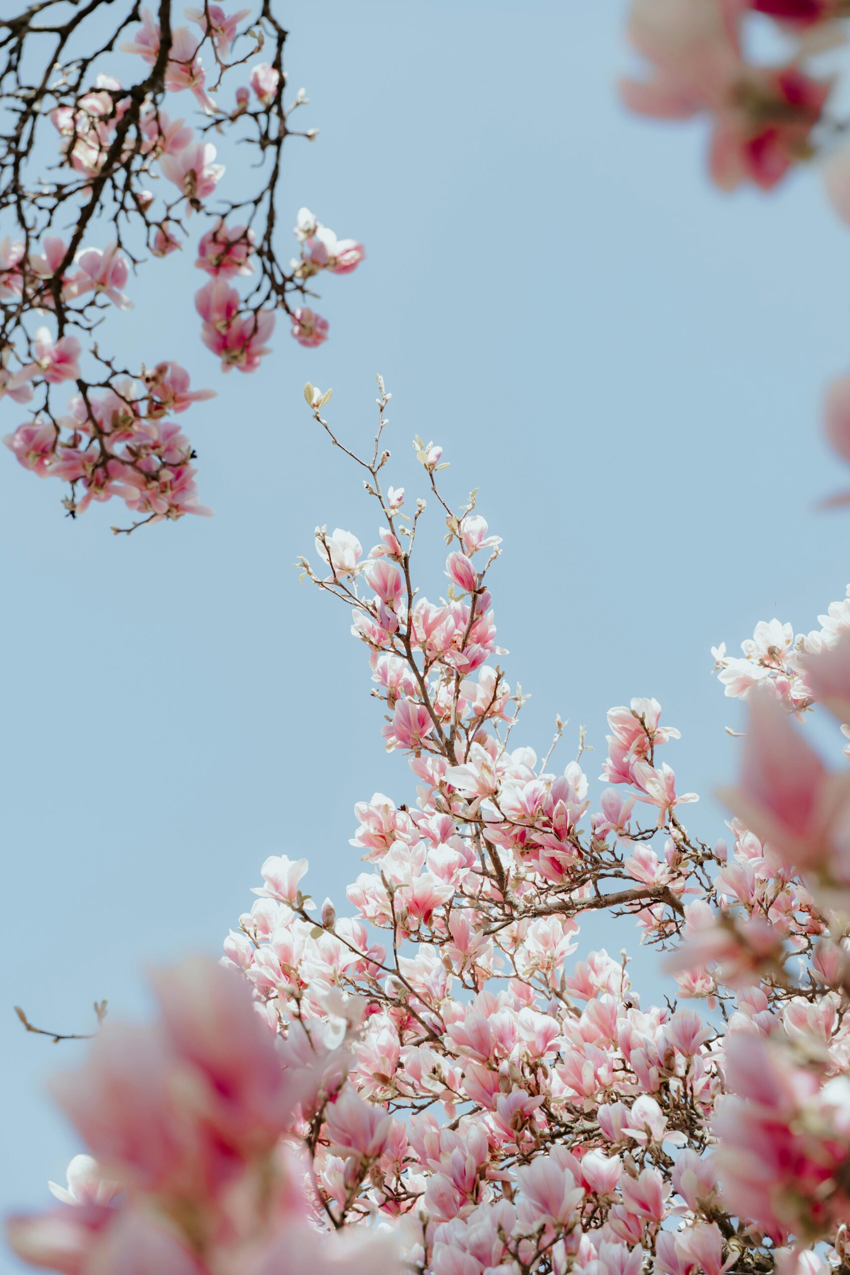 Wie Workshops den stressigen Alltag entlasten